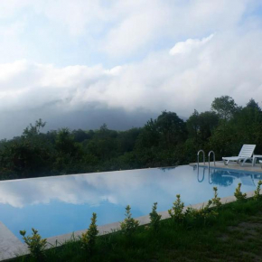 Sapanca da Muhteşem Doğa içerisinde, Harika Meva Villa, Sapanca